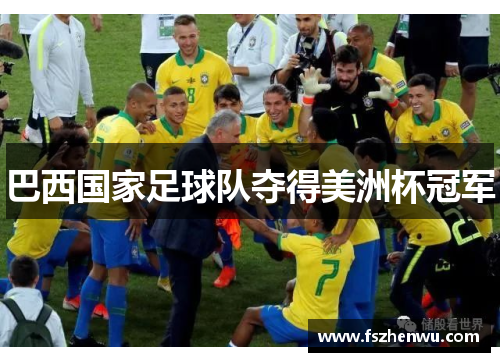 巴西国家足球队夺得美洲杯冠军